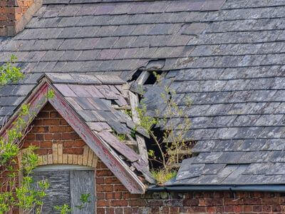 Professional ceiling water damage repair services in Cambridge - water damage cleanup